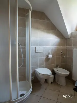 a small bathroom with a toilet and a shower at Apartments Otašević in Kranjska Gora