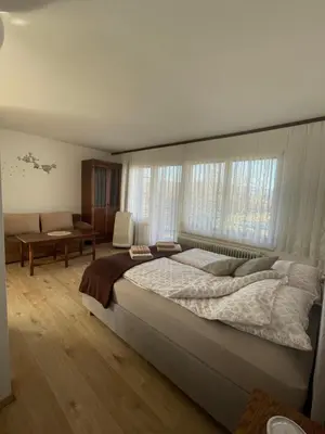 a large bedroom with a large bed and a couch at Apartmaji Mojca in Križe