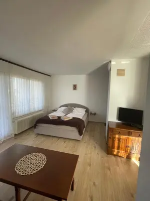 a bedroom with a bed and a table and a tv at Apartmaji Mojca in Križe