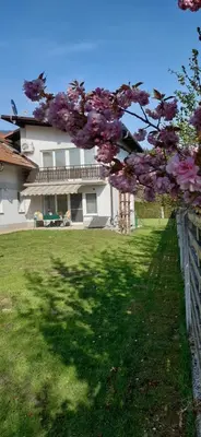 a tree with purple flowers in a yard with a house at Apartmaji Mojca in Križe