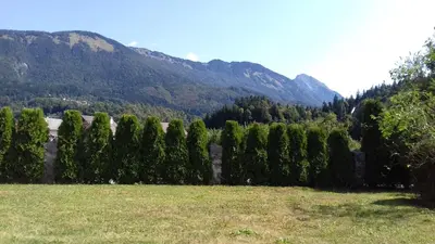 a row of trees in a field with mountains in the background at Apartmaji Mojca in Križe
