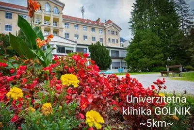 a garden of flowers in front of a building at Apartmaji Mojca in Križe