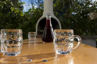 a bottle of wine sitting on a table with two glasses at Hanzi Holiday Home in Rečica ob Savinji
