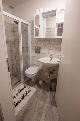 a bathroom with a toilet and a sink at Bled Honey Bee Apartment in Bled