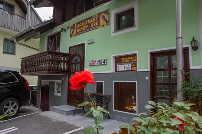 a red flower in front of a green building at Bled Honey Bee Apartment in Bled