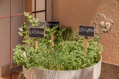 a pot filled with plants and signs that say urban justice at Apartma Summer Garden in Bled