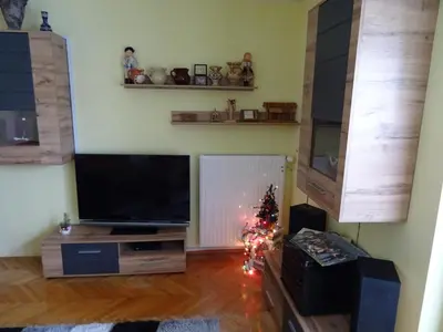 a living room with a television and a christmas tree at Apartment Tjaša in Radovljica