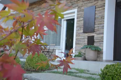 a front door of a house with red and yellow leaves at MAPLE place in Pivka