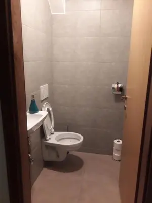 a small bathroom with a toilet and a sink at Simnovi apartmaji - surrounded by nature in Kamnik