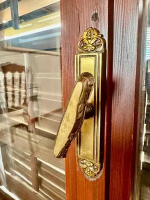 a gold door handle on a wooden door at Enam Room in Kojsko
