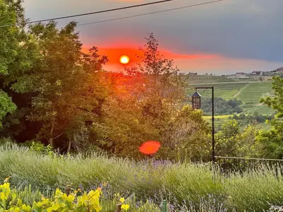 a red frisbee flying through the air at sunset at Enam Room in Kojsko