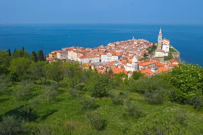 a town on top of a hill with the ocean at Goldenfields apartment in Kranj