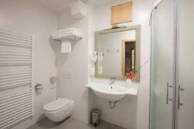 a white bathroom with a sink and a toilet at Hotel Jezero in Bohinj