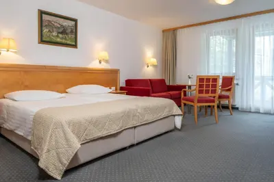 a hotel room with a bed and a chair at Hotel Jezero in Bohinj