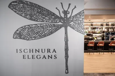 a butterfly sign on a wall in a restaurant at Elegans Hotel Brdo in Kranj