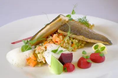 a white plate of food with fish and vegetables at Rogla – Hotel Rogla in Resnik