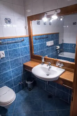 a bathroom with a sink and a toilet and a mirror at Hotel in restavracija Pod Roglo in Zreče