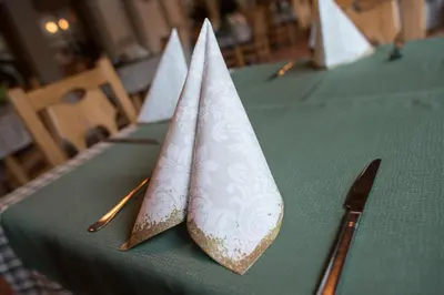 a green table with two napkins on top of it at Hotel in restavracija Pod Roglo in Zreče