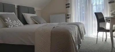 a bedroom with a bed and a desk and a chair at Sport Manca Garni Hotel in Radovljica
