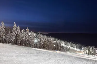 a snow covered slope with trees and lights on it at Terme Zreče – Vile Terme Zreče in Zreče