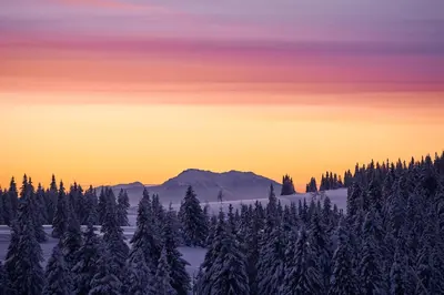 a snow covered forest with a mountain in the background at Terme Zreče – Vile Terme Zreče in Zreče