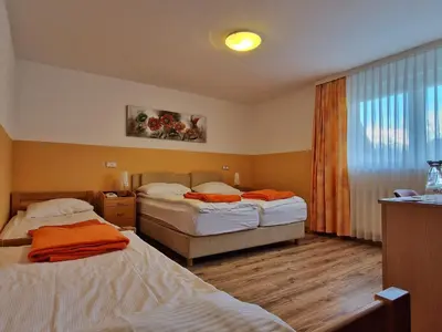 a hotel room with two beds and a window at Penzion Kovac in Radovljica