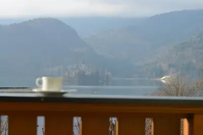 a view of a lake with a cup of coffee at Hotel Lovec in Bled