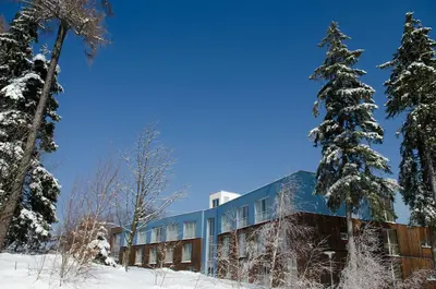 a building in the snow with a tree at Grand Hotel BELLEVUE in Pohorje