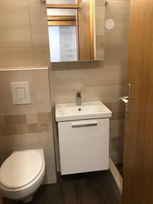 a bathroom with a white toilet and a sink at Apartma Vintage Bohinj in Bohinj