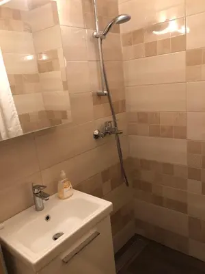 a bathroom with a sink and a shower at Apartma Vintage Bohinj in Bohinj