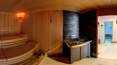 a room with a sauna with a stove in it at Hotel Astoria Superior in Bled
