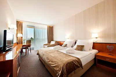 a hotel room with a large bed and a television at Hotel Radin, Radenci Spa Resort - Sava Hotels & Resorts in Radenci