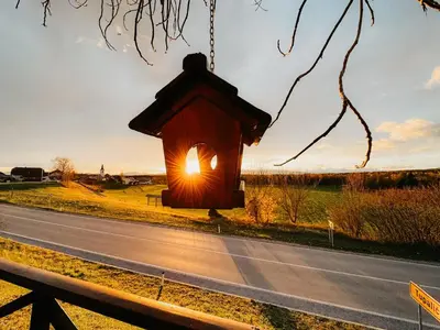 a birdhouse hanging from a tree next to a road at Hotel Oskar Zaplata in Preddvor