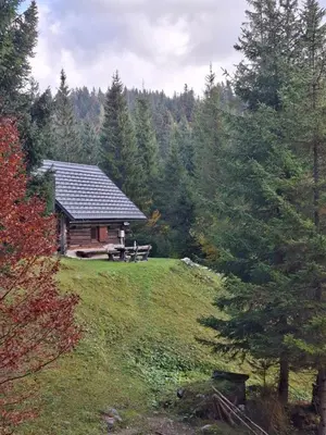 a log cabin on a hill in a forest at Brunarica na Goreljeku, Pokljuka in Bohinj