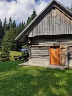 a cabin with a wooden door and a picnic table at Brunarica na Goreljeku, Pokljuka in Bohinj