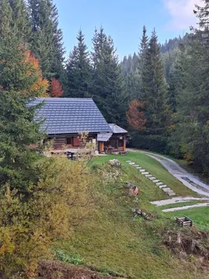a log cabin in the woods next to a river at Brunarica na Goreljeku, Pokljuka in Bohinj