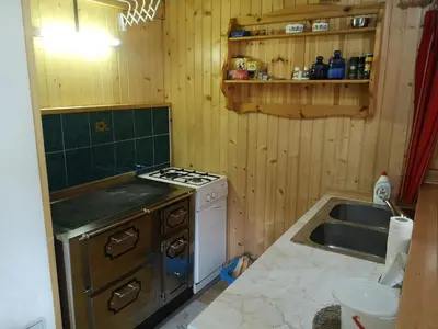 a small kitchen with a stove and a sink at Brunarica na Goreljeku, Pokljuka in Bohinj