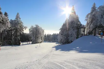 a snow covered ski slope with the sun behind trees at Pohorje Village Wellbeing Resort - Wellness & Spa Hotel Bolfenk in Pohorje