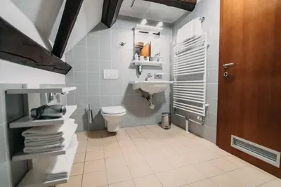 a bathroom with a toilet and a sink at Hotel Dvor Jezersek Brnik in Cerklje na Gorenjskem