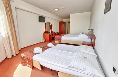 a hotel room with two beds and a television at Hotel Krek Superior in Lesce