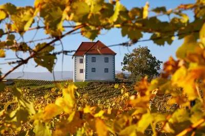 a small white house on top of a field at Wine Grower's Mansion Zlati Gric in Slovenske Konjice