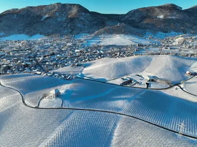 an aerial view of a town in the snow at Wine Grower's Mansion Zlati Gric in Slovenske Konjice