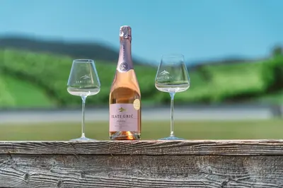 two wine glasses and a bottle of champagne at Wine Grower's Mansion Zlati Gric in Slovenske Konjice