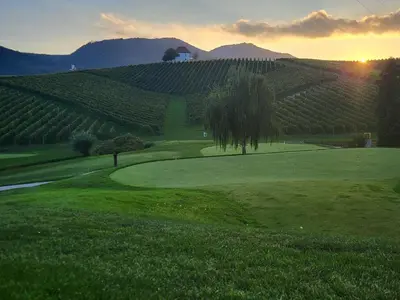 a golf course with a tree in the middle of a field at Wine Grower's Mansion Zlati Gric in Slovenske Konjice