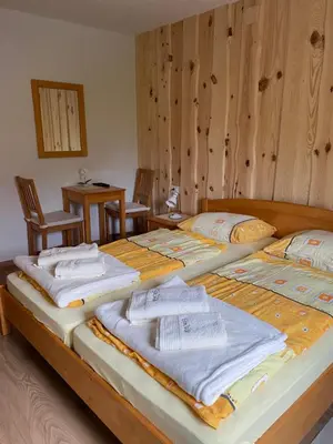 two twin beds in a room with wooden walls at Pension Cerkovnik in Bohinj