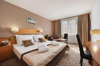 a hotel room with a bed and a desk at Hotel Termal - Terme 3000 - Sava Hotels & Resorts in Moravske Toplice