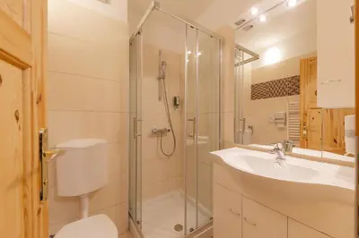 a bathroom with a shower and a sink and a toilet at Apartments Rozle in Kranjska Gora