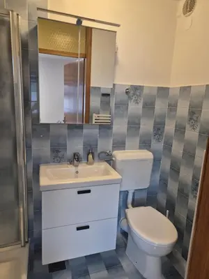 a bathroom with a toilet and a sink at Apartments Silič in Bled