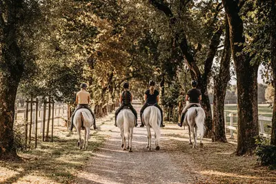 a group of people riding horses down a dirt road at Hotel Maestoso - Lipica in Sežana