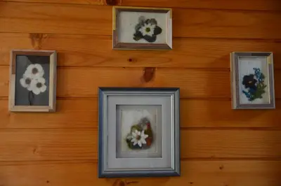 a wall with four pictures of flowers on it at Studio ALPIKA in Luče